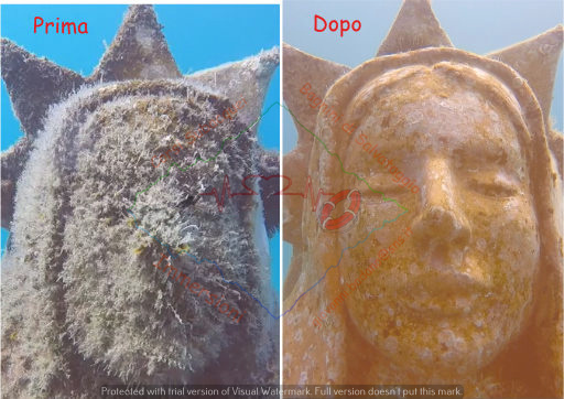 PHOTO-2023-06-01-14-40-50 10