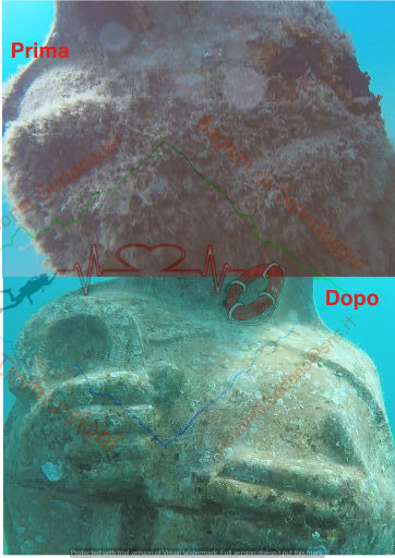 PHOTO-2023-06-01-14-40-50 4