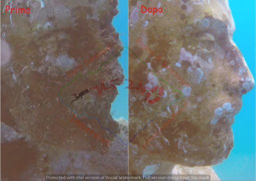 PHOTO-2023-06-01-14-40-50 6