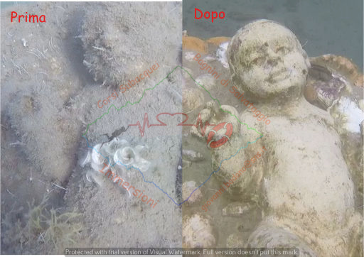 PHOTO-2023-06-01-14-40-50 8