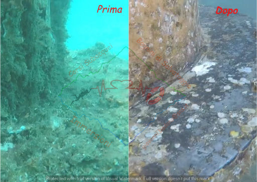 PHOTO-2023-06-01-15-02-46