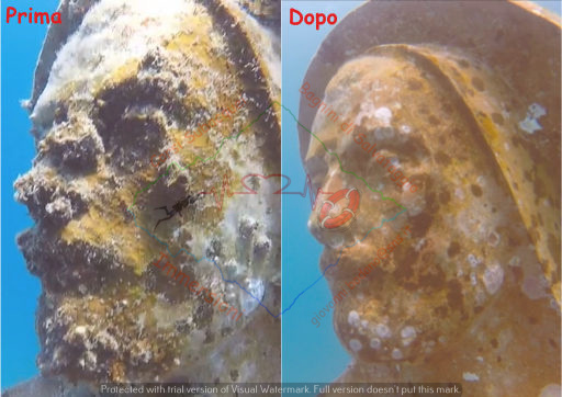 PHOTO-2023-06-01-15-02-47 3