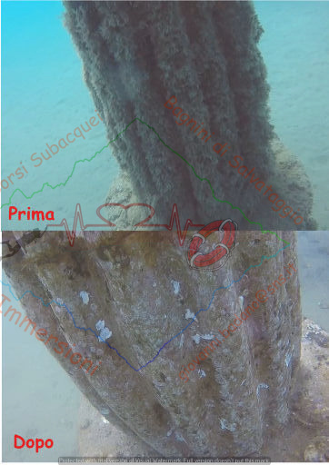 PHOTO-2023-06-01-15-02-47