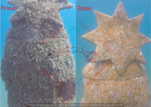 PHOTO-2023-06-01-15-02-48 2